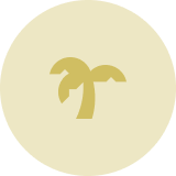 palm tropic